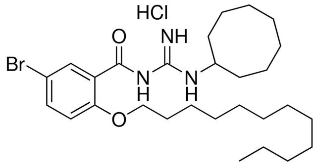 N-(5-BROMO-2-DODECYLOXY-BENZOYL)-N'-CYCLOOCTYL-GUANIDINE, HYDROCHLORIDE