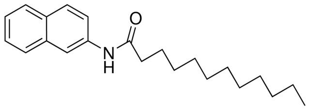N-(2-NAPHTHYL)DODECANAMIDE