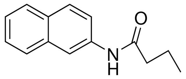 N-(2-NAPHTHYL)BUTYRAMIDE