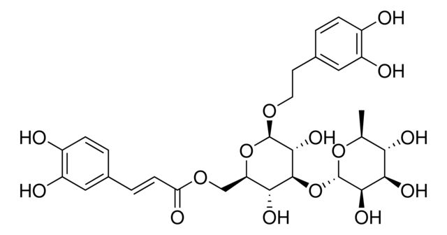 Isoacteoside