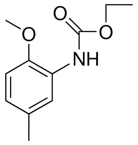ETHYL N-(2-METHOXY-5-METHYLPHENYL)CARBAMATE