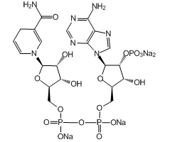 -Nicotinamide adenine dinucleotide 2'-phosphate reduced tetrasodium salt