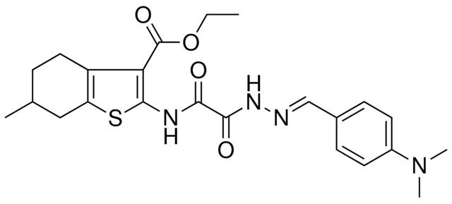 ETHYL 2-{[{(2E)-2-[4-(DIMETHYLAMINO)BENZYLIDENE]HYDRAZINO}(OXO)ACETYL]AMINO}-6-METHYL-4,5,6,7-TETRAHYDRO-1-BENZOTHIOPHENE-3-CARBOXYLATE