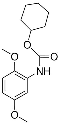 CYCLOHEXYL N-(2,5-DIMETHOXYPHENYL)CARBAMATE