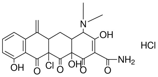CHLORO-DECAH-DIMETHYLAMINO6METHYLENE-TRIHYDROXYTRIOXONAPHTHACENECARBOXAMIDE HCL