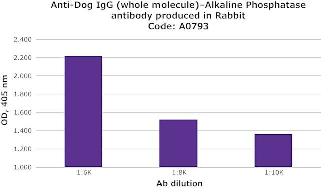 Anti-Dog IgG (whole molecule)–Alkaline Phosphatase antibody produced in rabbit