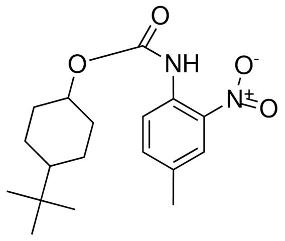 4-TERT-BUTYLCYCLOHEXYL N-(4-METHYL-2-NITROPHENYL)CARBAMATE