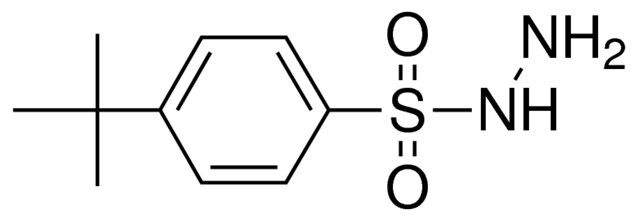4-TERT-BUTYLBENZENESULFONOHYDRAZIDE