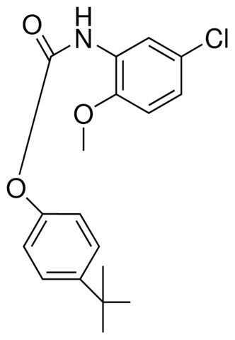 4-TERT-BUTYLPHENYL N-(5-CHLORO-2-METHOXYPHENYL)CARBAMATE