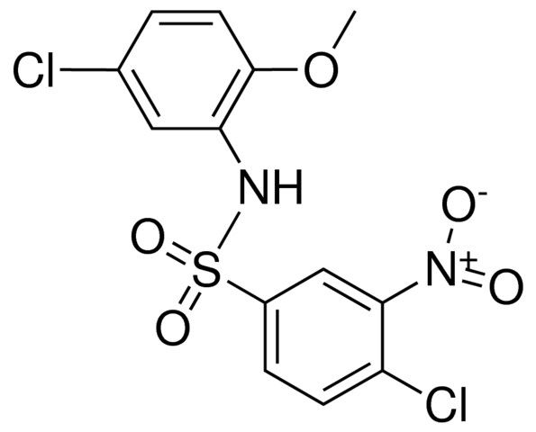 4,5'-DICHLORO-2'-METHOXY-3-NITROBENZENESULFONANILIDE