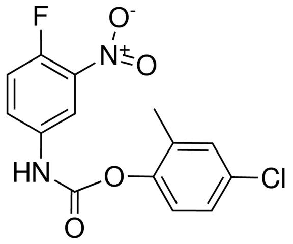 4-CHLORO-2-METHYLPHENYL N-(4-FLUORO-3-NITROPHENYL)CARBAMATE