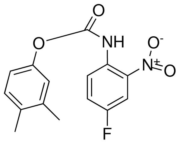3,4-XYLYL N-(4-FLUORO-2-NITROPHENYL)CARBAMATE