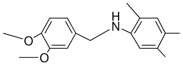 3,4-DIMETHOXY-N-(2,4,5-TRIMETHYLPHENYL)BENZYLAMINE