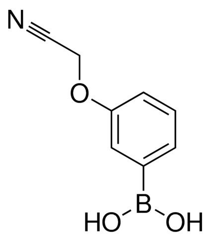 3-Cyanomethoxyphenylboronic acid