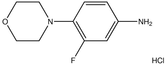 [3-Fluoro-4-(4-morpholinyl)phenyl]amine hydrochloride