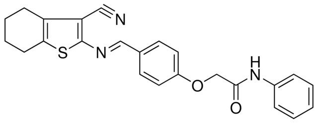 2(4-((3-CYANO-4,5,6,7-4H-BENZO(B)THIOPHEN-2-YLIMINO)-ME)-PHENOXY)-N-PH-ACETAMIDE