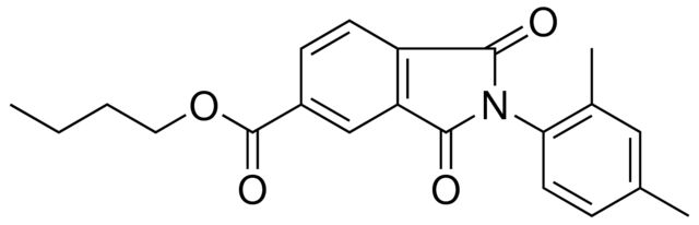 2(2,4-DI-ME-PH)-1,3-DIOXO-2,3-DIHYDRO-1H-ISOINDOLE-5-CARBOXYLIC ACID BUTYL ESTER