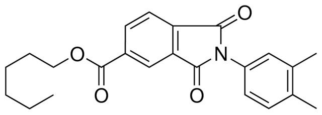 2(3,4-DI-ME-PH)-1,3-DIOXO-2,3-DIHYDRO-1H-ISOINDOLE-5-CARBOXYLIC ACID HEXYL ESTER