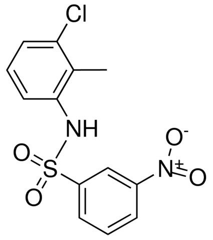 3'-CHLORO-2'-METHYL-3-NITROBENZENESULFONANILIDE