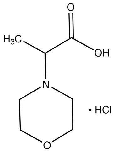 2-Morpholin-4-ylpropanoic acid hydrochloride
