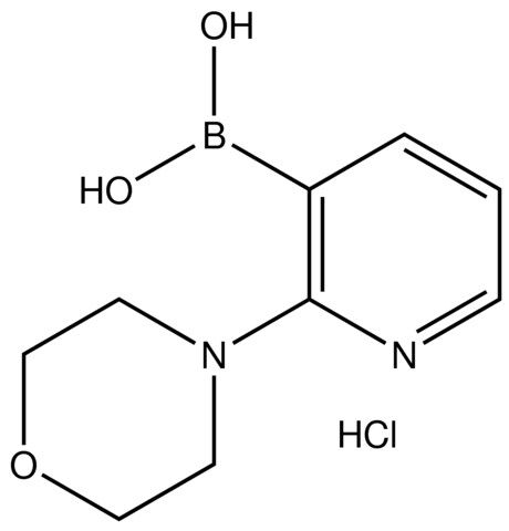 2-Morpholinopyridine-3-boronic acid hydrochloride