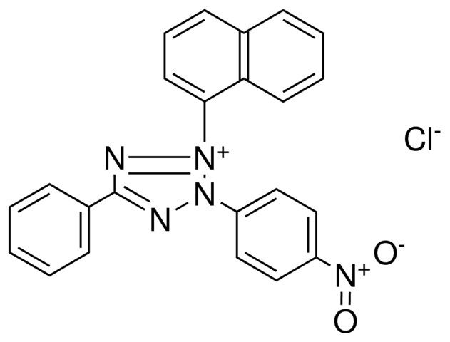 2-NAPHTHALEN-1-YL-3-(4-NITRO-PHENYL)-5-PHENYL-3H-TETRAZOL-2-IUM, CHLORIDE