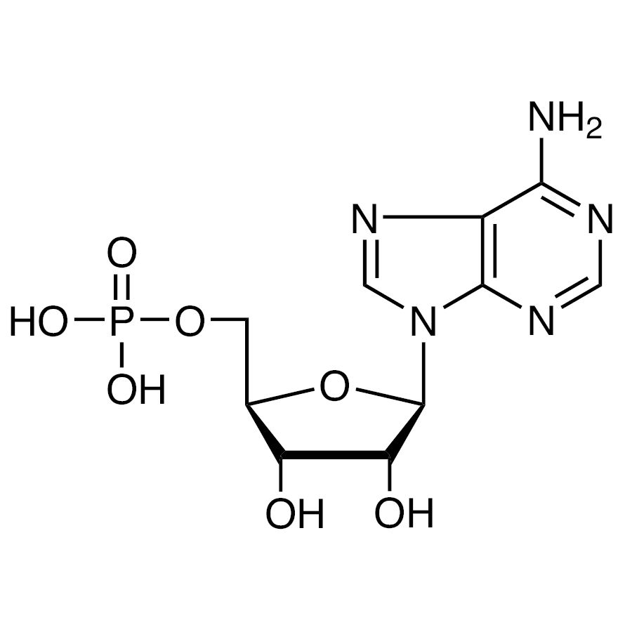 5'-Adenylic Acid