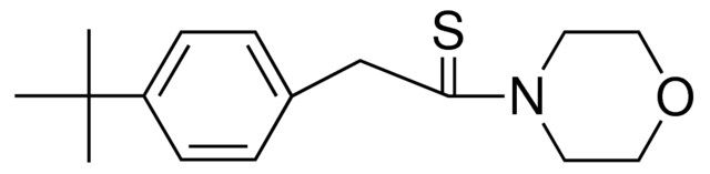 2-(4-TERT-BUTYL-PHENYL)-1-MORPHOLIN-4-YL-ETHANETHIONE