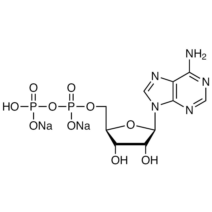 Adenosine 5'-Diphosphate Disodium Salt