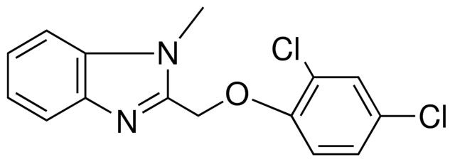 2-(2,4-DICHLORO-PHENOXYMETHYL)-1-METHYL-1H-BENZOIMIDAZOLE