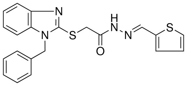 2-[(1-BENZYL-1H-BENZIMIDAZOL-2-YL)SULFANYL]-N'-[(E)-2-THIENYLMETHYLIDENE]ACETOHYDRAZIDE