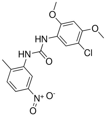 1-(5-CHLORO-2,4-DIMETHOXYPHENYL)-3-(2-METHYL-5-NITROPHENYL)UREA
