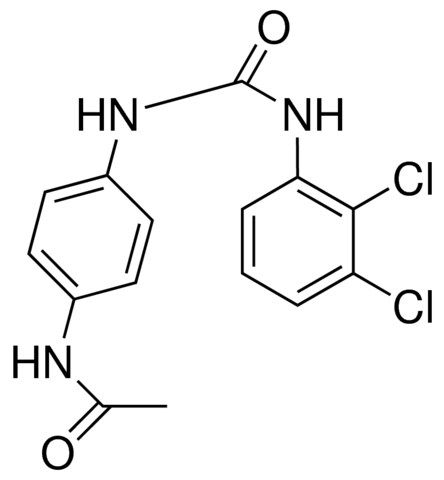 1-(4-ACETAMIDOPHENYL)-3-(2,3-DICHLOROPHENYL)UREA