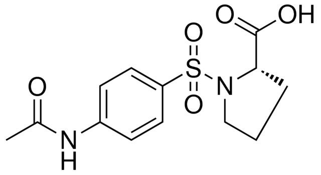 1-(4-ACETYLAMINO-BENZENESULFONYL)-PYRROLIDINE-2-CARBOXYLIC ACID