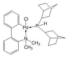 Chloro(di-2-norbornylphosphino)(2'-dimethylamino-1,1'-biphenyl-2-yl)palladium (II)
