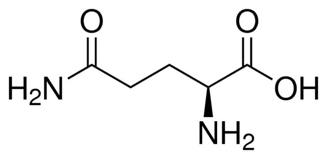 <sc>L</sc>-Glutamine