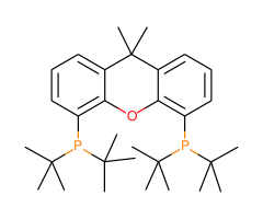 9,9-Dimethyl-4,5-bis(di-t-butylphosphino)xanthene