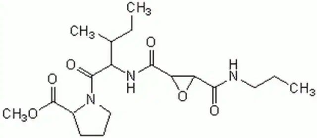 CA-074 Me-Calbiochem