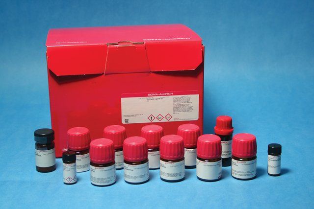 Buchwald Ligands Kit III