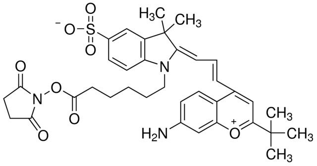 Dy-615 NHS ester