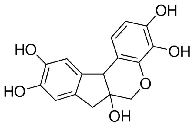 Hematoxylin Solution, Mayers