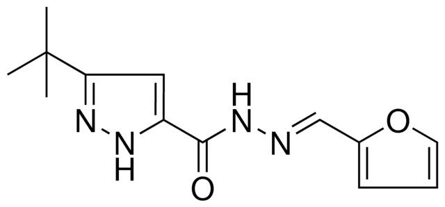 5-TERT-BUTYL-2H-PYRAZOLE-3-CARBOXYLIC ACID FURAN-2-YLMETHYLENE-HYDRAZIDE