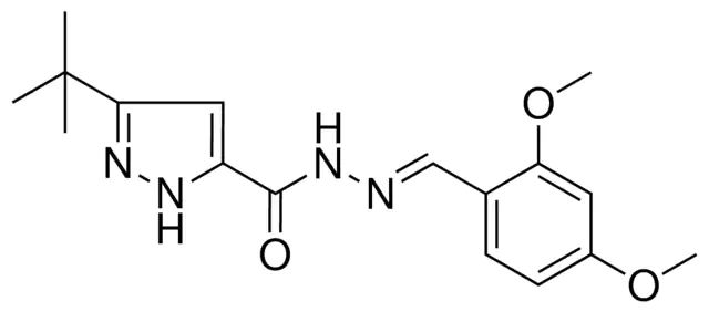 5-TERT-BUTYL-2H-PYRAZOLE-3-CARBOXYLIC ACID (2,4-DIMETHOXY-BENZYLIDENE)-HYDRAZIDE