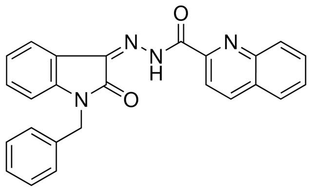 QUINOLINE-2-CARBOXYLIC ACID (1-BENZYL-2-OXO-1,2-2H-INDOL-3-YLIDENE)-HYDRAZIDE