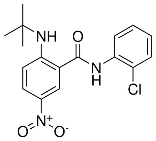 2-TERT-BUTYLAMINO-N-(2-CHLORO-PHENYL)-5-NITRO-BENZAMIDE