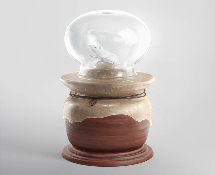 梅奥研究动物呼吸实验装置(Mayow's Apparatus for Studying Animal Respiration) 梅奥研究动物呼吸实验装置(Mayow's Apparatus for Studying Animal Respiration)
