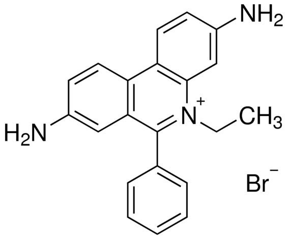 溴化乙啶/1239-45-8分子结构式 溴化乙啶/1239-45-8分子结构式
