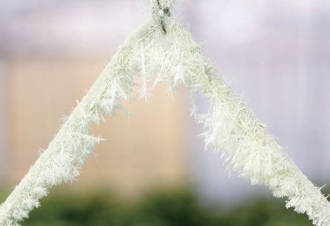 液体和固体涂料在涂装前后都会引发微生物生长