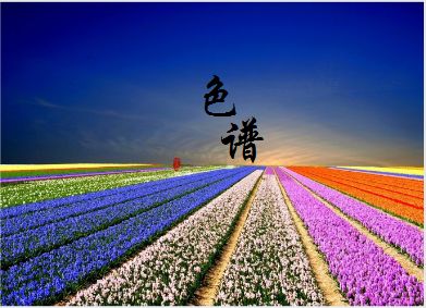 拨开现象看本质 国产离子色谱品牌仍需加大创新力度 拨开现象看本质 国产离子色谱品牌仍需加大创新力度