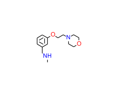 N-methyl-N-[3-(2-morpholin-4-ylethoxy)benzyl]amine